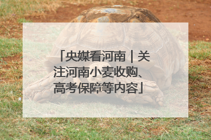 央媒看河南｜关注河南小麦收购、高考保障等内容