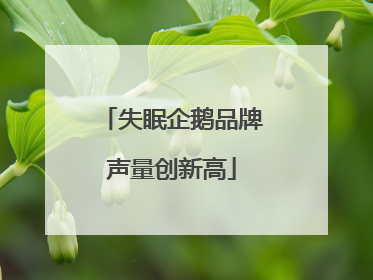 失眠企鹅品牌声量创新高