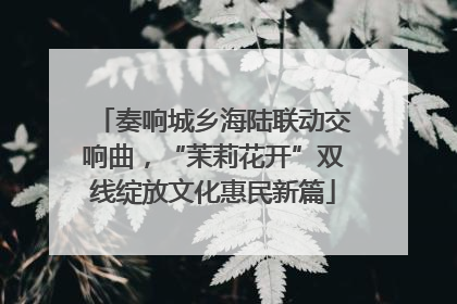 奏响城乡海陆联动交响曲，“茉莉花开”双线绽放文化惠民新篇