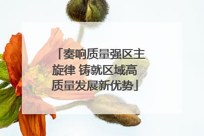 奏响质量强区主旋律 铸就区域高质量发展新优势