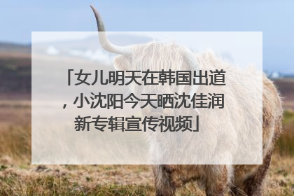 女儿明天在韩国出道，小沈阳今天晒沈佳润新专辑宣传视频