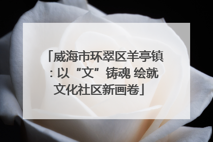 威海市环翠区羊亭镇：以“文”铸魂 绘就文化社区新画卷