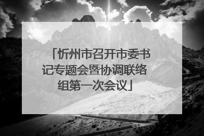 忻州市召开市委书记专题会暨协调联络组第一次会议