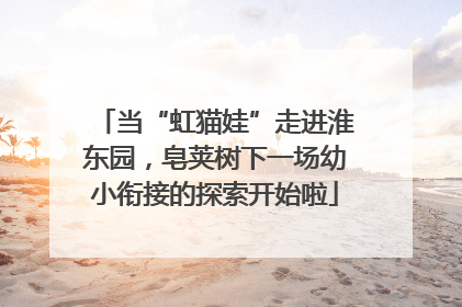 当“虹猫娃”走进淮东园，皂荚树下一场幼小衔接的探索开始啦