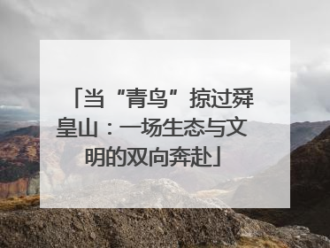 当“青鸟”掠过舜皇山：一场生态与文明的双向奔赴