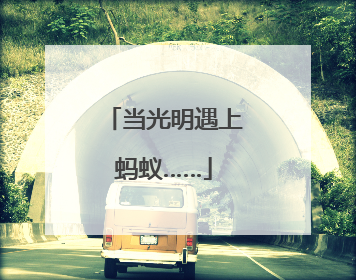 当光明遇上蚂蚁……