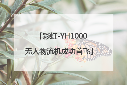 彩虹-YH1000无人物流机成功首飞