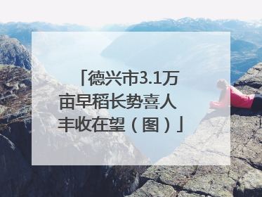 德兴市3.1万亩早稻长势喜人 丰收在望（图）