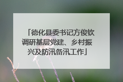 德化县委书记方俊钦调研基层党建、乡村振兴及防汛备汛工作
