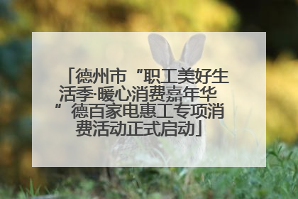 德州市“职工美好生活季·暖心消费嘉年华”德百家电惠工专项消费活动正式启动