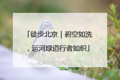 徒步北京｜碧空如洗，运河绿道行者如织