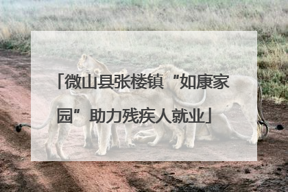 微山县张楼镇“如康家园”助力残疾人就业