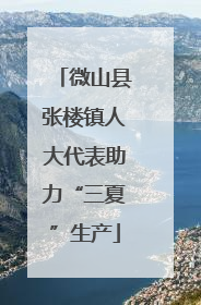 微山县张楼镇人大代表助力“三夏”生产
