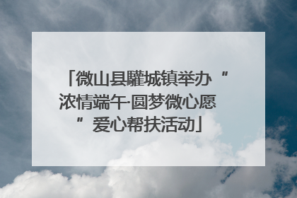 微山县驩城镇举办“浓情端午·圆梦微心愿”爱心帮扶活动