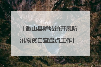 微山县驩城镇开展防汛物资自查盘点工作