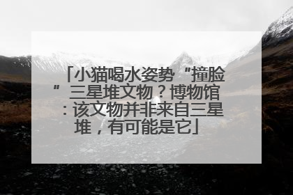 小猫喝水姿势“撞脸”三星堆文物？博物馆：该文物并非来自三星堆，有可能是它