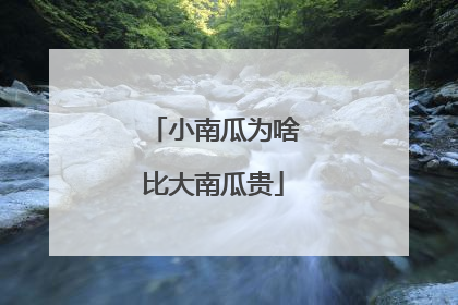 小南瓜为啥比大南瓜贵