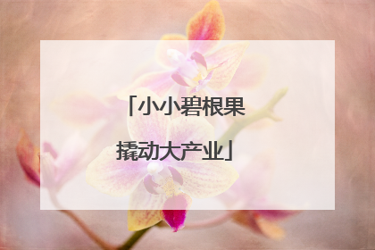 小小碧根果撬动大产业