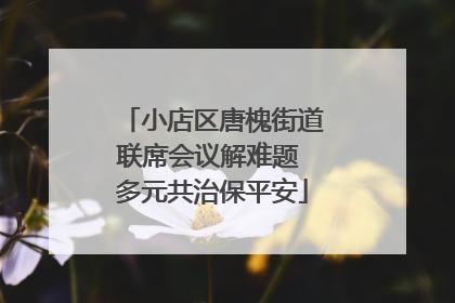 小店区唐槐街道联席会议解难题 多元共治保平安