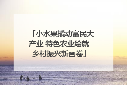 小水果撬动富民大产业 特色农业绘就乡村振兴新画卷