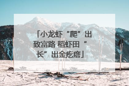 小龙虾“爬”出致富路 稻虾田“长”出金疙瘩