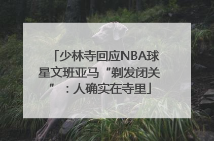 少林寺回应NBA球星文班亚马“剃发闭关”：人确实在寺里