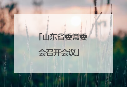 山东省委常委会召开会议