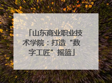山东商业职业技术学院：打造“数字工匠”摇篮