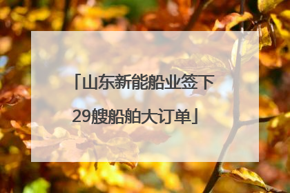 山东新能船业签下29艘船舶大订单