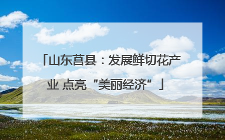 山东莒县：发展鲜切花产业 点亮“美丽经济”