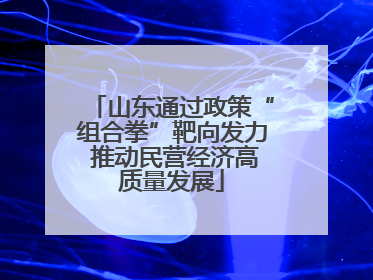 山东通过政策“组合拳”靶向发力 推动民营经济高质量发展