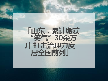 山东：累计缴获“笑气”30余万升 打击治理力度居全国前列