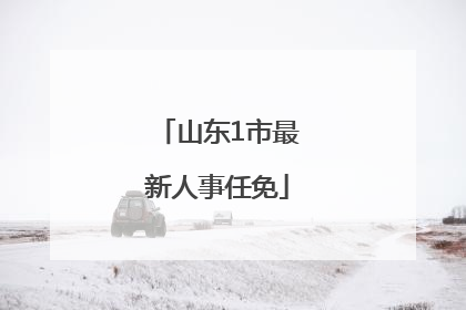 山东1市最新人事任免