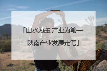 山水为墨 产业为笔——陕南产业发展走笔