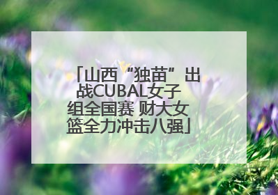 山西“独苗”出战CUBAL女子组全国赛 财大女篮全力冲击八强