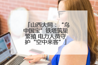 山西大同：“鸟中国宝”铁塔筑巢繁殖 电力人员守护“空中来客”