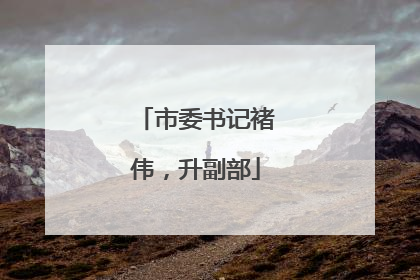 市委书记褚伟，升副部
