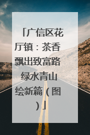 广信区花厅镇：茶香飘出致富路 绿水青山绘新篇（图）