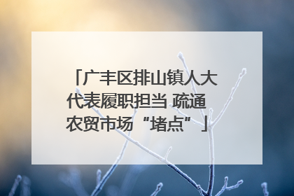 广丰区排山镇人大代表履职担当 疏通农贸市场“堵点”
