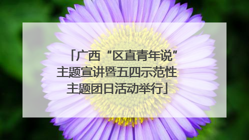 广西“区直青年说”主题宣讲暨五四示范性主题团日活动举行
