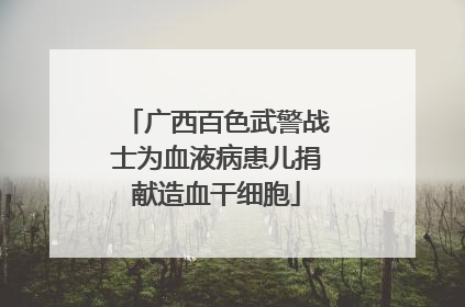广西百色武警战士为血液病患儿捐献造血干细胞