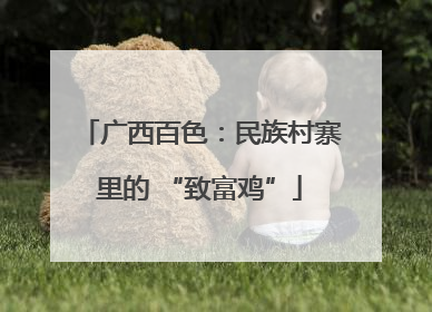 广西百色：民族村寨里的 “致富鸡”