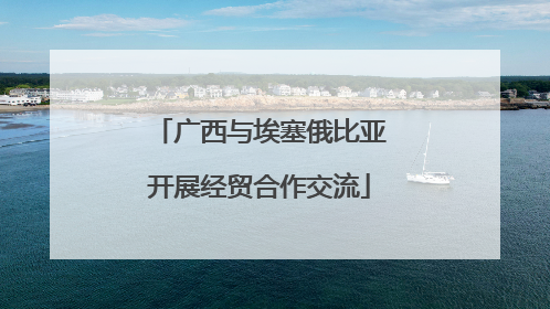 广西与埃塞俄比亚开展经贸合作交流