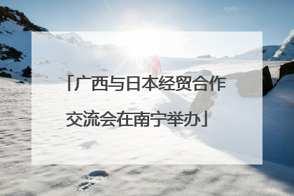 广西与日本经贸合作交流会在南宁举办