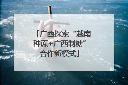 广西探索“越南种蔗+广西制糖”合作新模式