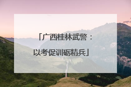 广西桂林武警：以考促训砺精兵