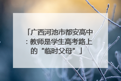广西河池市都安高中：教师是学生高考路上的“临时父母”