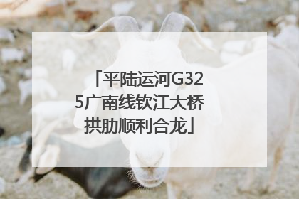 平陆运河G325广南线钦江大桥拱肋顺利合龙