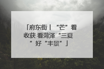 府东街丨“芒”着收获 看菏泽“三夏”好“丰景”