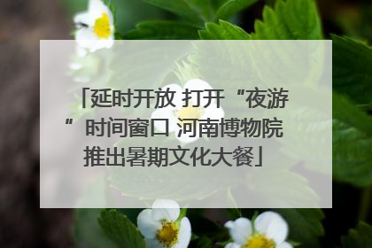 延时开放 打开“夜游”时间窗口 河南博物院推出暑期文化大餐